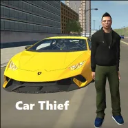 Cars Thief